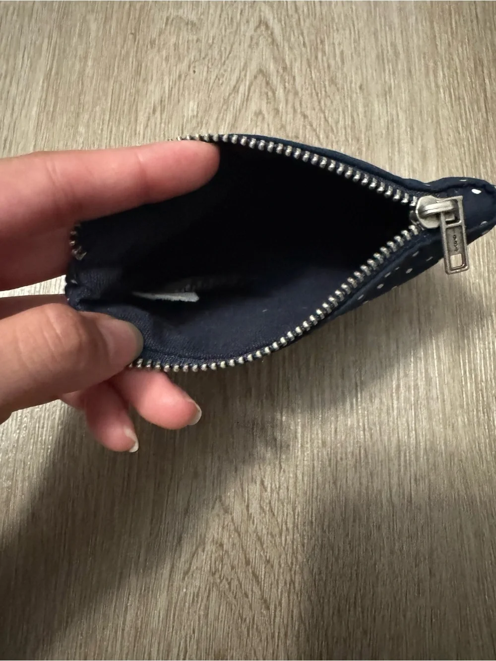 Brandy Melville Makeup Bag and Matching polka dot wallet